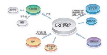 軟件銷售市場動態(tài) 創(chuàng)新驅(qū)動與數(shù)字化轉(zhuǎn)型成新焦點(diǎn)